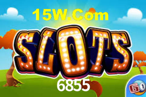 6855 App Interface